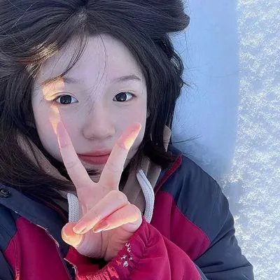 国土安全第四季